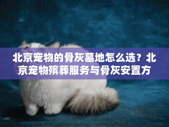 北京宠物的骨灰墓地怎么选？北京宠物殡葬服务与骨灰安置方案全解析