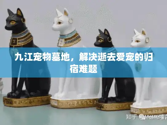 九江宠物墓地，解决逝去爱宠的归宿难题