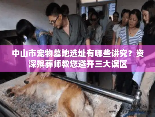 中山市宠物墓地选址有哪些讲究？资深殡葬师教您避开三大误区