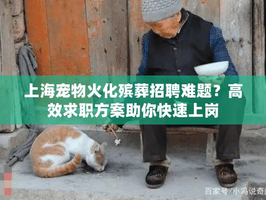上海宠物火化殡葬招聘难题？高效求职方案助你快速上岗