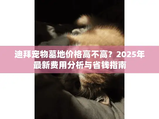 迪拜宠物墓地价格高不高？2025年最新费用分析与省钱指南