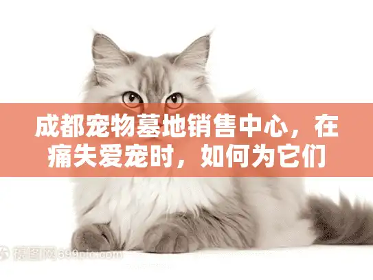 成都宠物墓地销售中心，在痛失爱宠时，如何为它们找到完美安息地？
