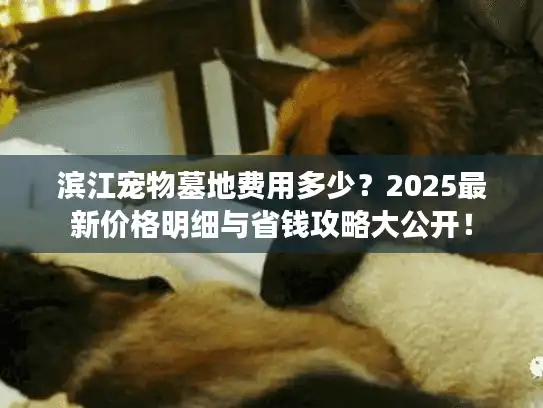 滨江宠物墓地费用多少？2025最新价格明细与省钱攻略大公开！