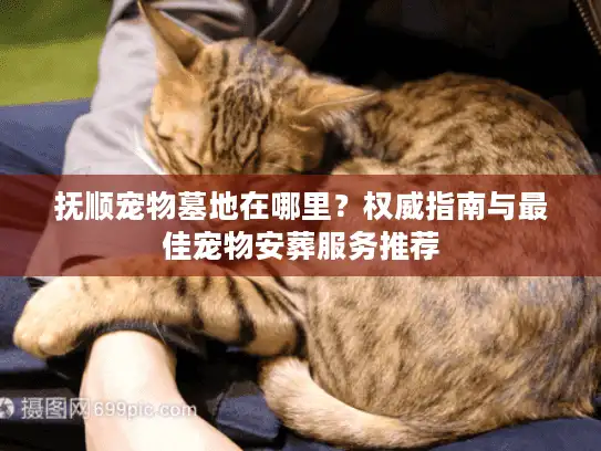 抚顺宠物墓地在哪里？权威指南与最佳宠物安葬服务推荐