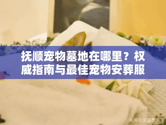 抚顺宠物墓地在哪里？权威指南与最佳宠物安葬服务推荐