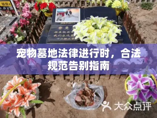 宠物墓地法律进行时，合法规范告别指南