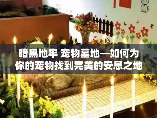暗黑地牢 宠物墓地—如何为你的宠物找到完美的安息之地？