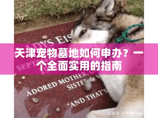 天津宠物墓地如何申办？一个全面实用的指南
