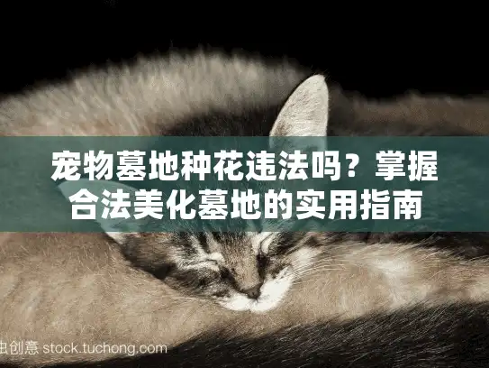 宠物墓地种花违法吗？掌握合法美化墓地的实用指南