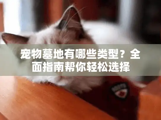 宠物墓地有哪些类型？全面指南帮你轻松选择
