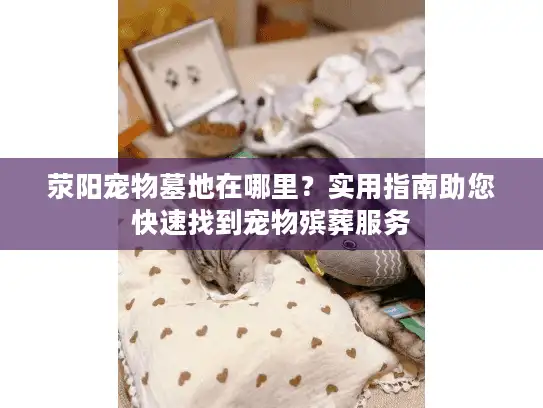 荥阳宠物墓地在哪里？实用指南助您快速找到宠物殡葬服务