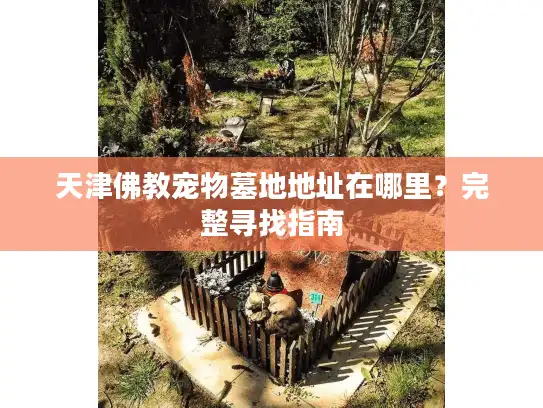 天津佛教宠物墓地地址在哪里？完整寻找指南