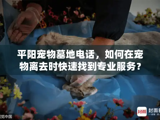 平阳宠物墓地电话，如何在宠物离去时快速找到专业服务？