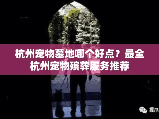 杭州宠物墓地哪个好点？最全杭州宠物殡葬服务推荐