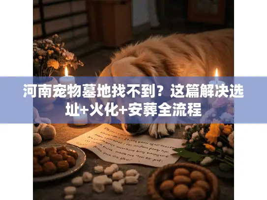 河南宠物墓地找不到？这篇解决选址+火化+安葬全流程
