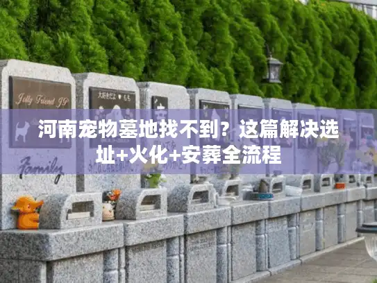 河南宠物墓地找不到？这篇解决选址+火化+安葬全流程