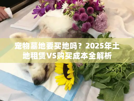 宠物墓地要买地吗？2025年土地租赁VS购买成本全解析
