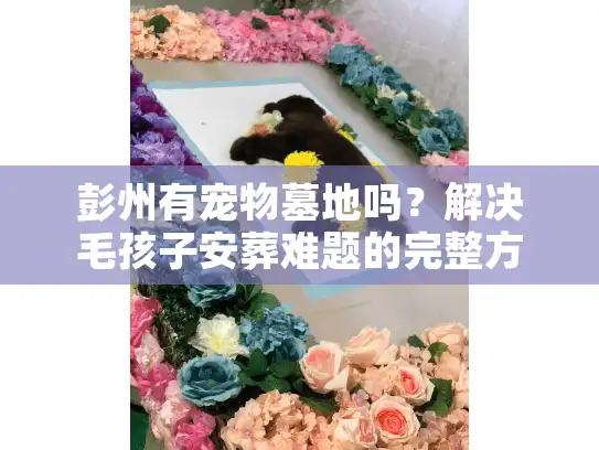 彭州有宠物墓地吗？解决毛孩子安葬难题的完整方案