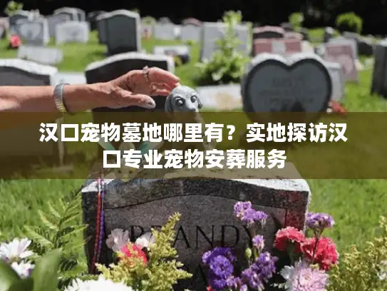 汉口宠物墓地哪里有？实地探访汉口专业宠物安葬服务