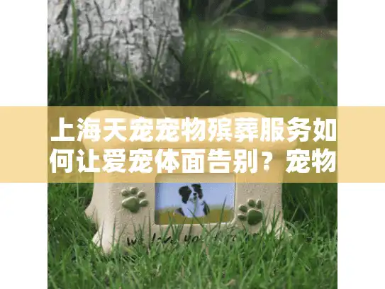 上海天宠宠物殡葬服务如何让爱宠体面告别？宠物告别仪式详解