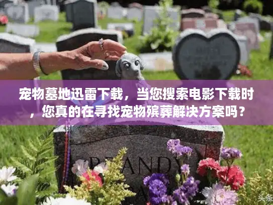 宠物墓地迅雷下载，当您搜索电影下载时，您真的在寻找宠物殡葬解决方案吗？