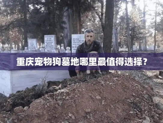 重庆宠物狗墓地哪里最值得选择？