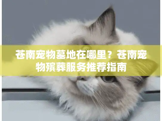 苍南宠物墓地在哪里？苍南宠物殡葬服务推荐指南