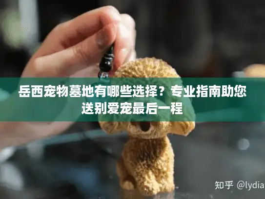 岳西宠物墓地有哪些选择？专业指南助您送别爱宠最后一程