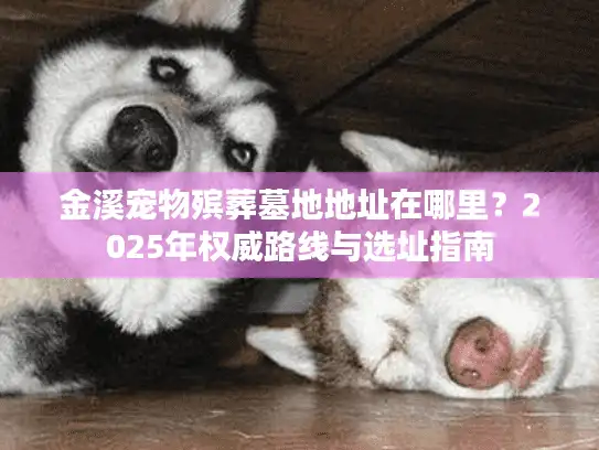 金溪宠物殡葬墓地地址在哪里？2025年权威路线与选址指南