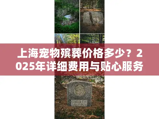 上海宠物殡葬价格多少？2025年详细费用与贴心服务全指南