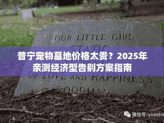 普宁宠物墓地价格太贵？2025年亲测经济型告别方案指南
