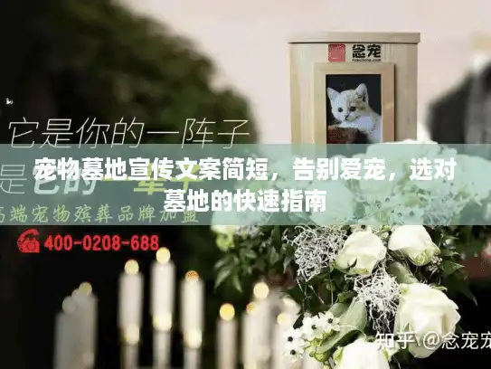 宠物墓地宣传文案简短，告别爱宠，选对墓地的快速指南