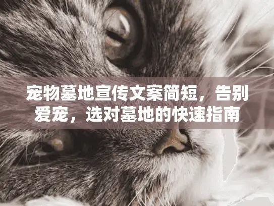 宠物墓地宣传文案简短，告别爱宠，选对墓地的快速指南