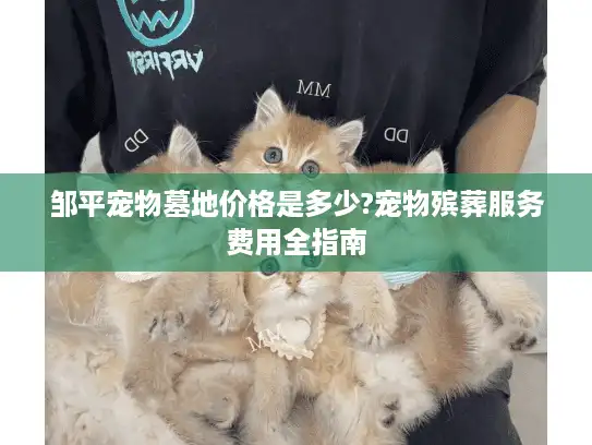 邹平宠物墓地价格是多少?宠物殡葬服务费用全指南