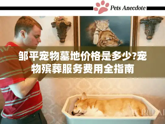 邹平宠物墓地价格是多少?宠物殡葬服务费用全指南