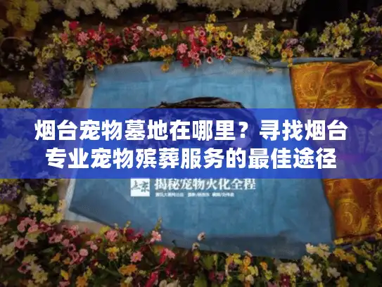 烟台宠物墓地在哪里？寻找烟台专业宠物殡葬服务的最佳途径