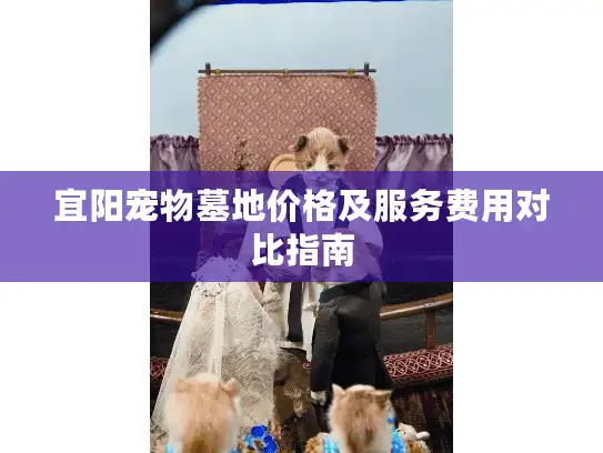 宜阳宠物墓地价格及服务费用对比指南