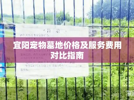 宜阳宠物墓地价格及服务费用对比指南
