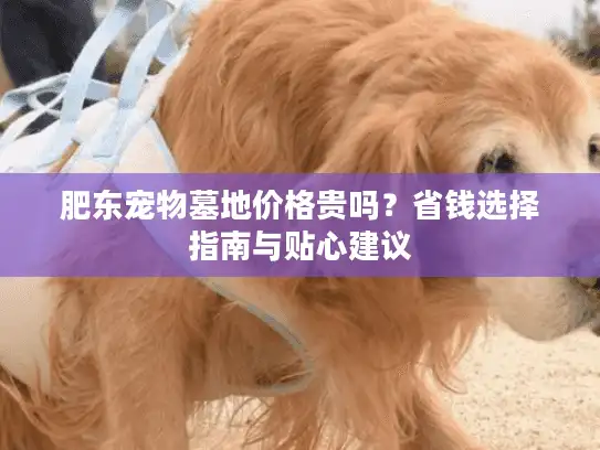 肥东宠物墓地价格贵吗？省钱选择指南与贴心建议