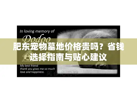 肥东宠物墓地价格贵吗？省钱选择指南与贴心建议