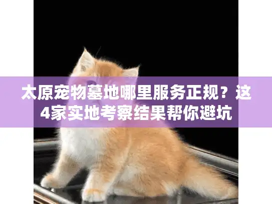 太原宠物墓地哪里服务正规？这4家实地考察结果帮你避坑