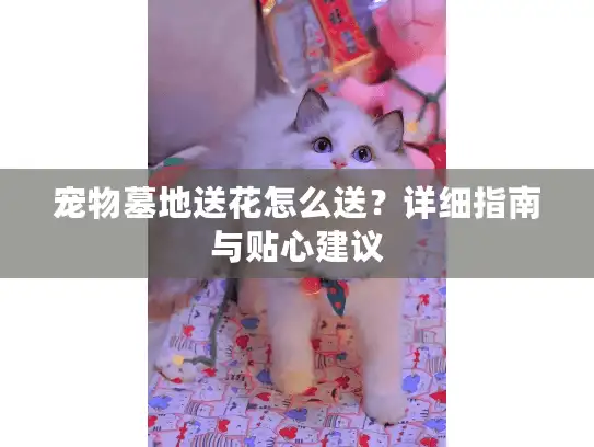 宠物墓地送花怎么送？详细指南与贴心建议