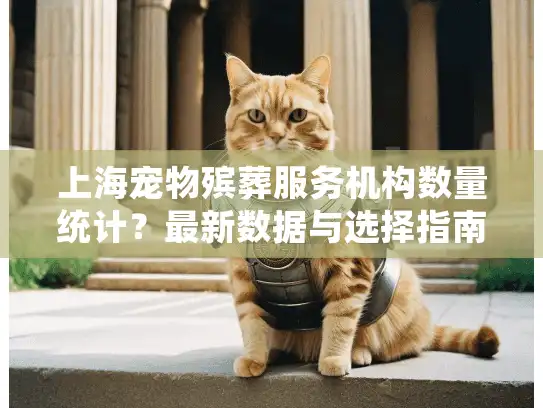 上海宠物殡葬服务机构数量统计？最新数据与选择指南