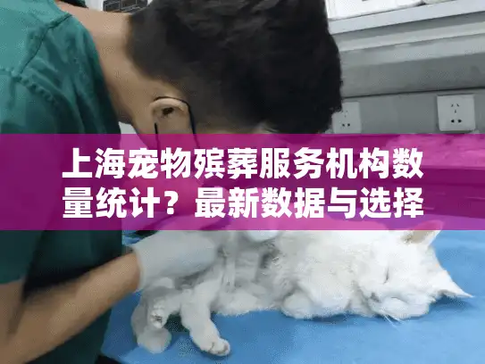 上海宠物殡葬服务机构数量统计？最新数据与选择指南