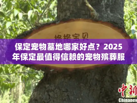 保定宠物墓地哪家好点？2025年保定最值得信赖的宠物殡葬服务推荐