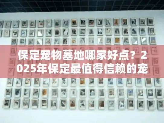 保定宠物墓地哪家好点？2025年保定最值得信赖的宠物殡葬服务推荐