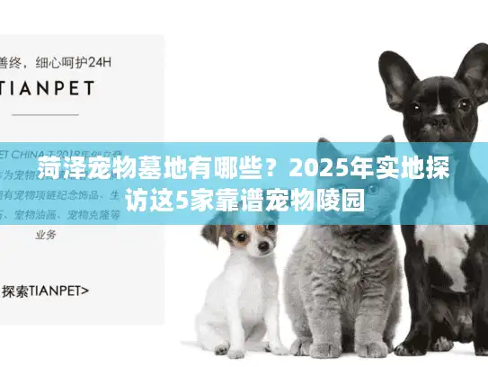 菏泽宠物墓地有哪些？2025年实地探访这5家靠谱宠物陵园