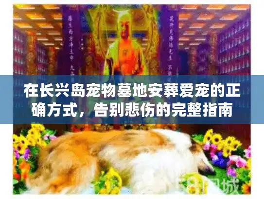 在长兴岛宠物墓地安葬爱宠的正确方式，告别悲伤的完整指南