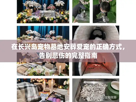 在长兴岛宠物墓地安葬爱宠的正确方式，告别悲伤的完整指南