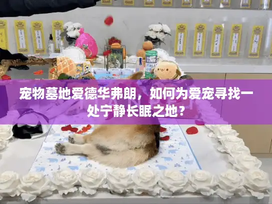 宠物墓地爱德华弗朗，如何为爱宠寻找一处宁静长眠之地？